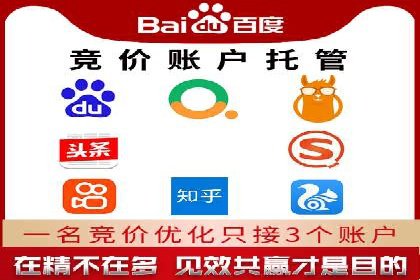 sem运营公司：数字营销的先锋